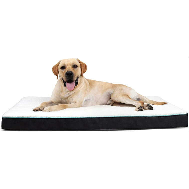 Tucker Murphy Pet™ Egg Crate Foam Black Dog Bed Orthopedic Rectangle